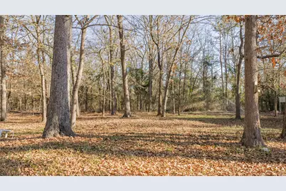 3199 Farm Road 2723, Mount Vernon, TX 75457 - Photo 12