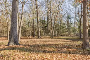 3199 Farm Rd 2723, Mount Vernon, TX 75457 - Photo 12