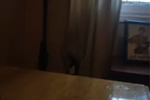 3883 Turtle Creek Blvd, Dallas, TX 75219 - Photo 28