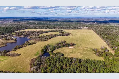 1040 County Road 3590 #Tract 4, Winnsboro, TX 75494 - Photo 8