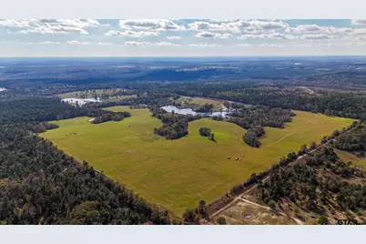 1040 County Road 3590 #Tract 4, Winnsboro, TX 75494 - Photo 4