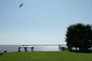 726 Lakeshore Dr, Seven Points, TX 75143 - Photo 24