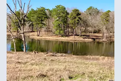 Lot 64 Pat Road, Gladewater, TX 75647 - Photo 8