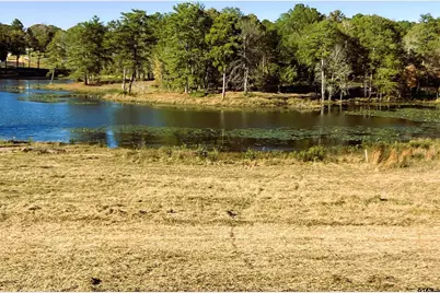 Lot 64 Pat Road, Gladewater, TX 75647 - Photo 6