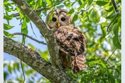 3140 E Landings S, Granbury, TX 76049 - Photo 10