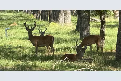 3140 E Landings S, Granbury, TX 76049 - Photo 8