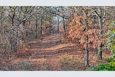 000 Carminati, Montague, TX 76251 - Photo 26