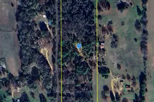 1180 Co Rd 3824, Athens, TX 75752 - Photo 1