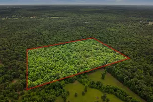 351 Private Rd 8572, Winnsboro, TX 75494 - Photo 38