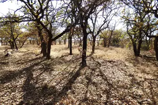 3808 Hwy 2563, Eastland, TX 76448 - Photo 6