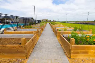 5333 Hybern Ave, Aubrey, TX 76227 - Photo 10