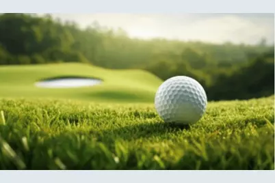 29106 Greenwood Drive, Whitney, TX 76692 - Photo 4