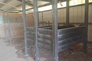 1865 Co Rd 4915, Leonard, TX 75452 - Photo 12