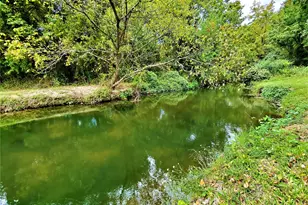 4017 Chinaberry Dr, Garland, TX 75043 - Photo 34