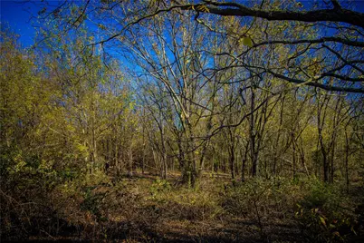 Tract 4 Lazy E Rd, Saint Jo, TX 76265 - Photo 16
