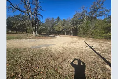 221 Private Road 8807, Ben Wheeler, TX 75754 - Photo 4