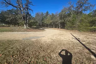 221 Private Rd 8807, Ben Wheeler, TX 75754 - Photo 4