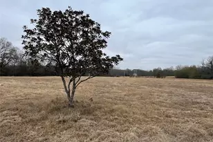 3771 County Rd 44800, Detroit, TX 75436 - Photo 24