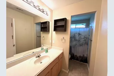 1249 Sandpiper, Aubrey, TX 76227 - Photo 20