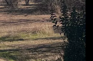 2 Lots Lanai Dr, Runaway Bay, TX 76426 - Photo 1