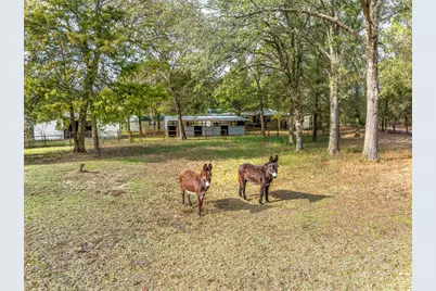 10218 County Road 313, Terrell, TX 75161 - Photo 10