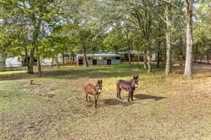 10218 Co Rd 313, Terrell, TX 75161 - Photo 10