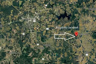 7229 Co Rd 4837, LaRue, TX 75770 - Photo 1