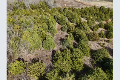 1300 Fm 2675, Enloe, TX 75432 - Photo 2