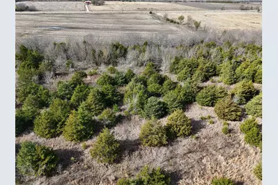 1300 Fm 2675, Enloe, TX 75432 - Photo 8