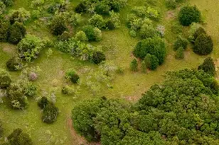 9420 Co Rd 114, Kaufman, TX 75142 - Photo 2