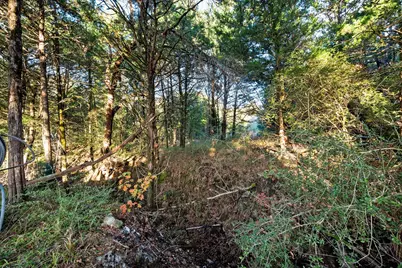 734 Interstate 45 S, Teague, TX 75860 - Photo 18