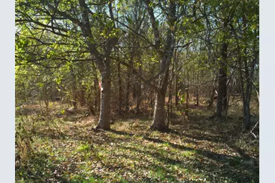 000 N Mlk Jr Highway, Mexia, TX 76667 - Photo 16