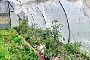 1100 Alford St, Graham, TX 76450 - Photo 18