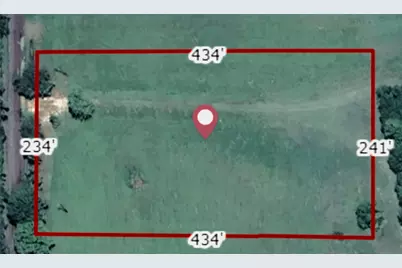 954 County Road 1813, Yantis, TX 75773 - Photo 8