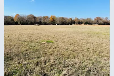 954 County Road 1813, Yantis, TX 75773 - Photo 4