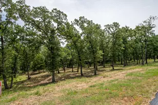 7002 Lakeshore Wy, Malakoff, TX 75148 - Photo 4