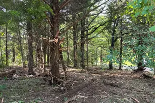 141 Eastern Hills Dr, Mabank, TX 75156 - Photo 1