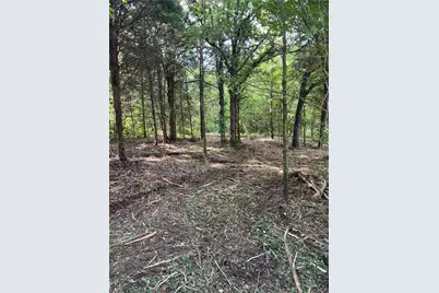 141 Eastern Hills Drive, Mabank, TX 75156 - Photo 2