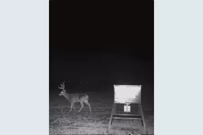 Tract 6, Tbd County Road 3204, Abbott, TX 76621 - Photo 8