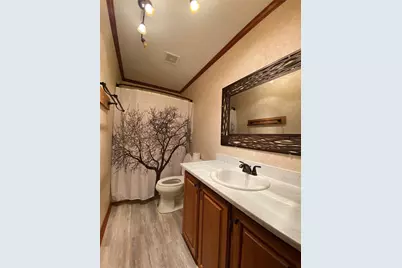 6809 Red Fox Court, Granbury, TX 76049 - Photo 28