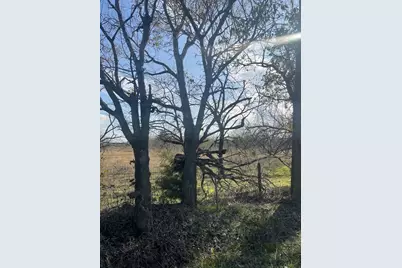 3175 County Road 1110, Corsicana, TX 75110 - Photo 6