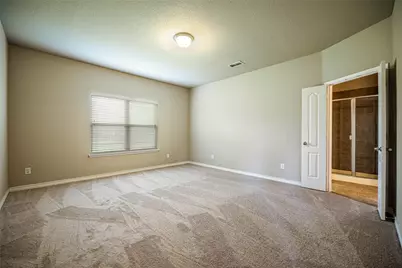 1913 Christopher Creek Drive, Little Elm, TX 75068 - Photo 10