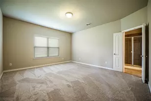 1913 Christopher Creek Dr, Little Elm, TX 75068 - Photo 10