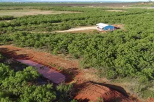 136 Co Rd 499, Abilene, TX 79601 - Photo 20