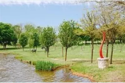 Lot #8 Summit Oak, Denison, TX 75020 - Photo 6