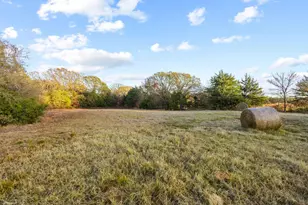 6652 - E Fm 1396, Telephone, TX 75488 - Photo 28