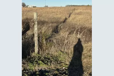 9999 Cr-699, Farmersville, TX 75442 - Photo 4