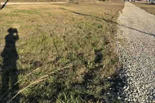 9999 Cr-699, Farmersville, TX 75442 - Photo 1