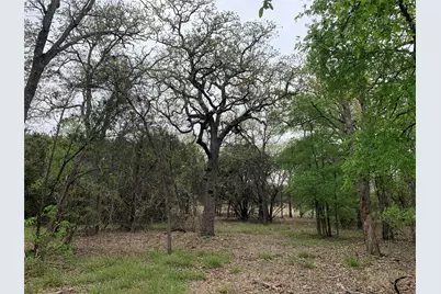 1039 & 1033 Creek Crossing Road, Nemo, TX 76070 - Photo 8