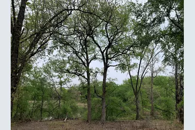 1039 & 1033 Creek Crossing Road, Nemo, TX 76070 - Photo 8